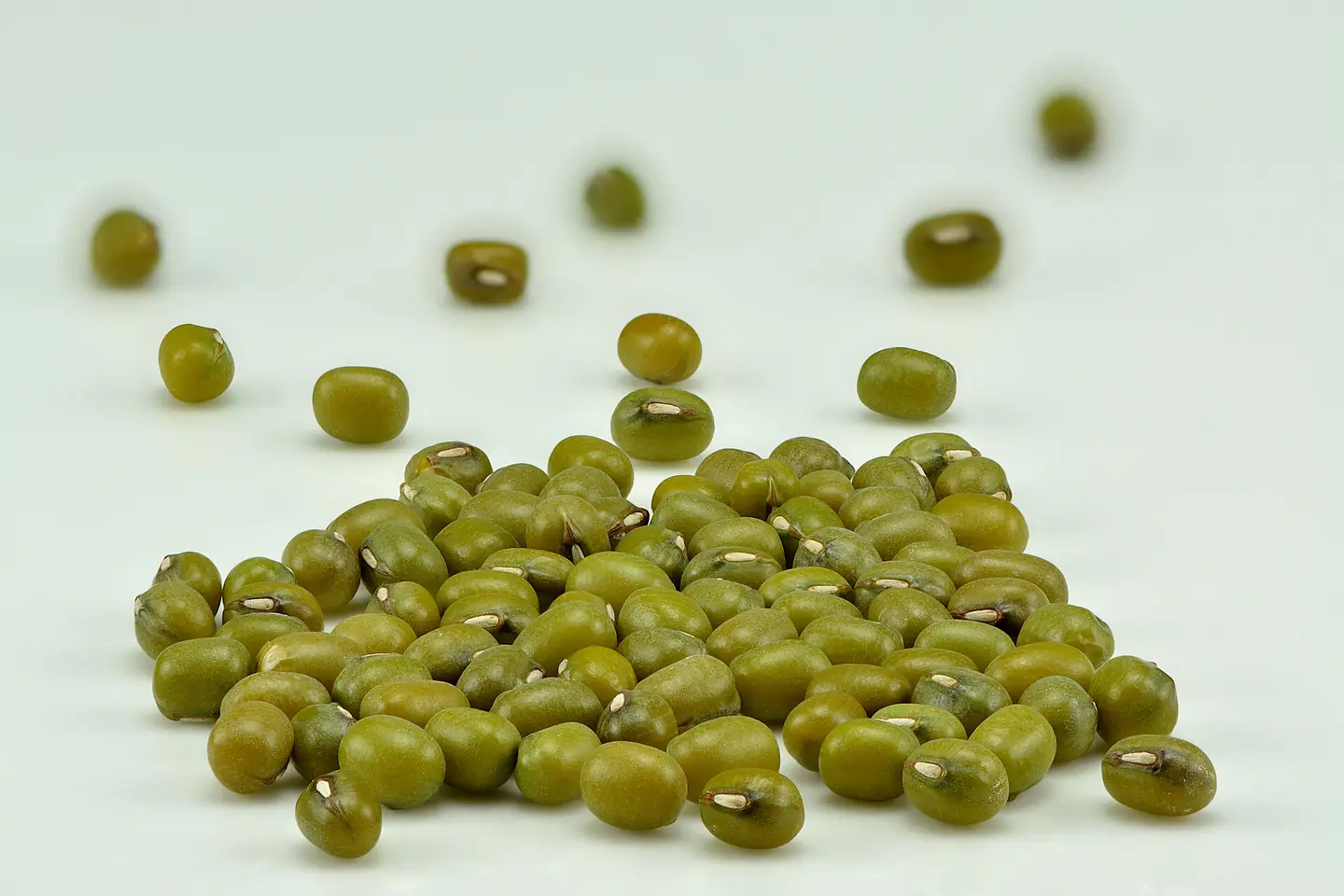 Mung beans (Vigna radiata)