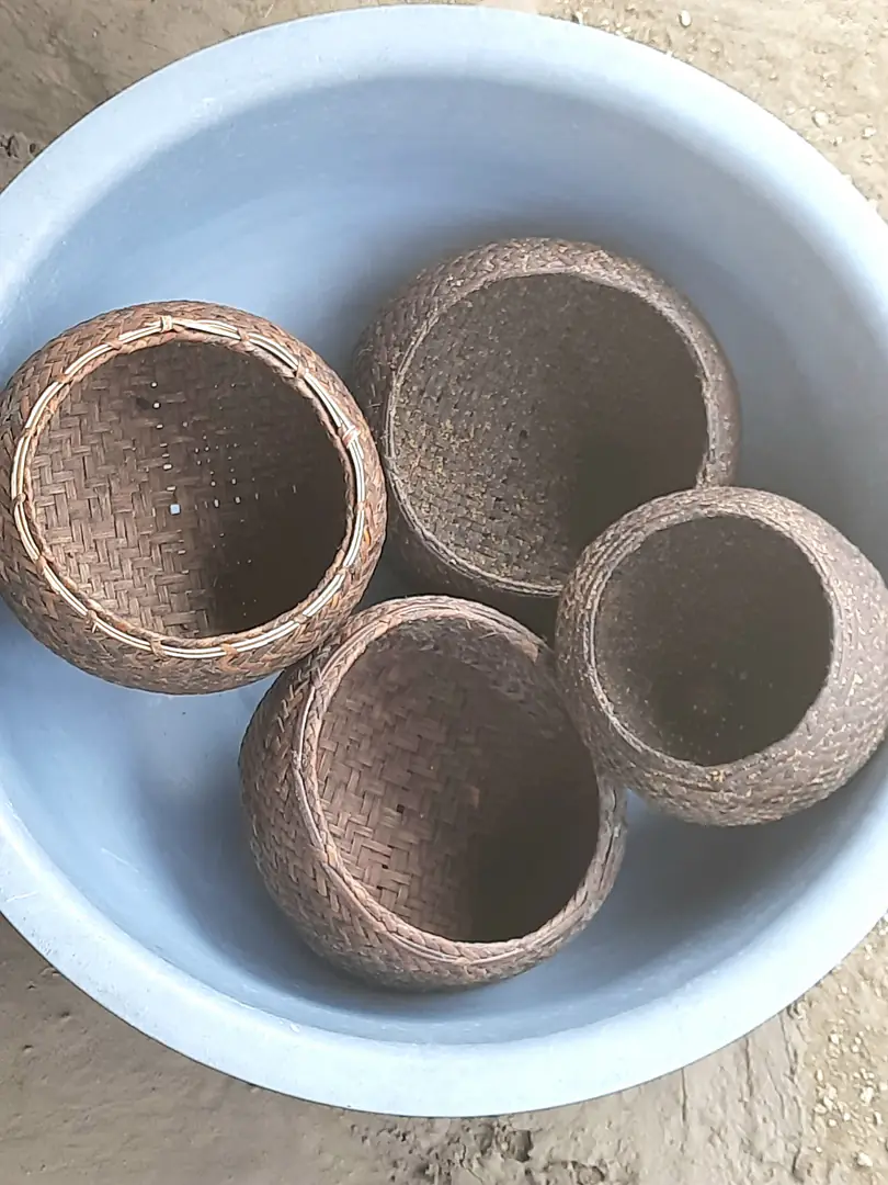 Oil extracting betari