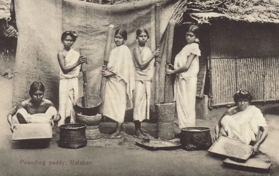 Pounding Paddy, Malabar