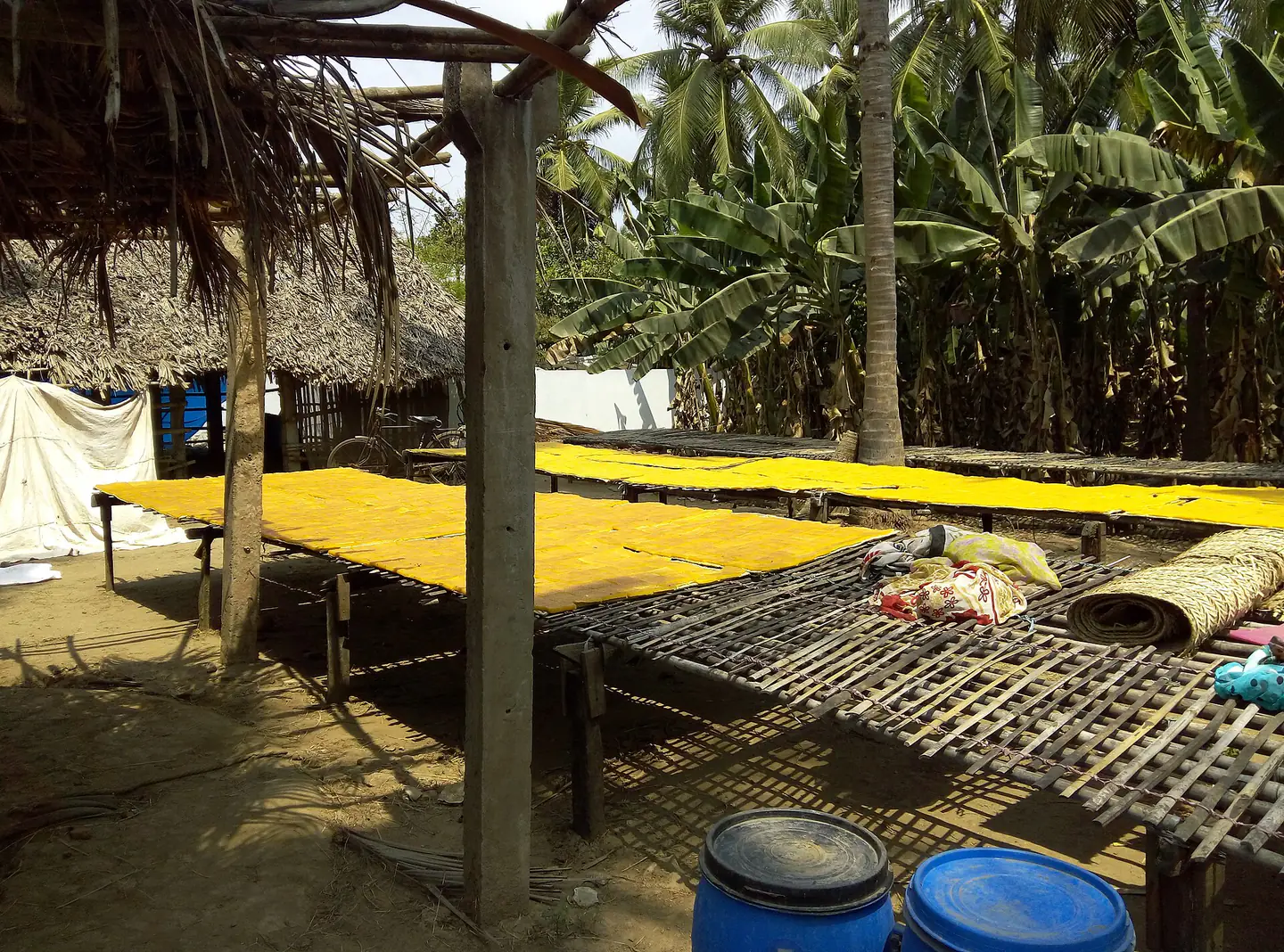 Making of Mamiditandra (mango sweet of Andhrapradesh) (1)