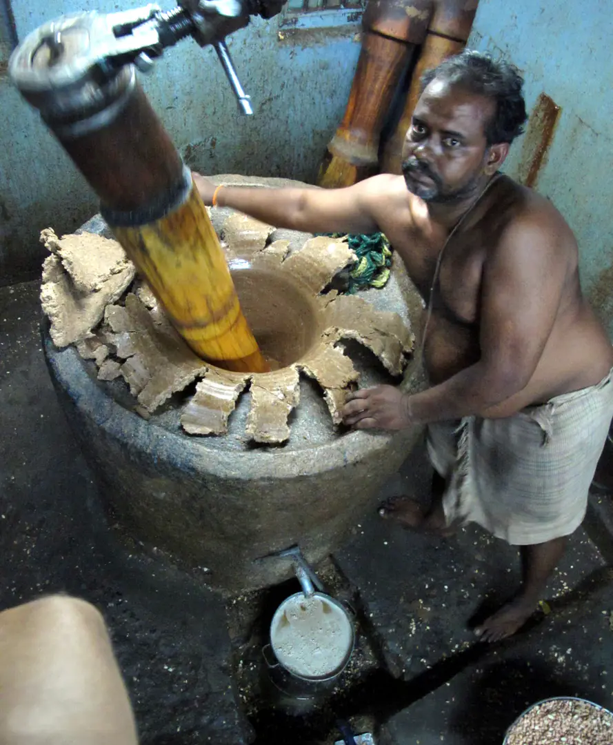Ground peanut Oil mill India sesame तिल எள் ಎಳ್ಳು എണ്ണ എള്ള് cake tahini tamilnadu tamil nadu foreigner desi indian village feature story 2011 Etan Doronne myin