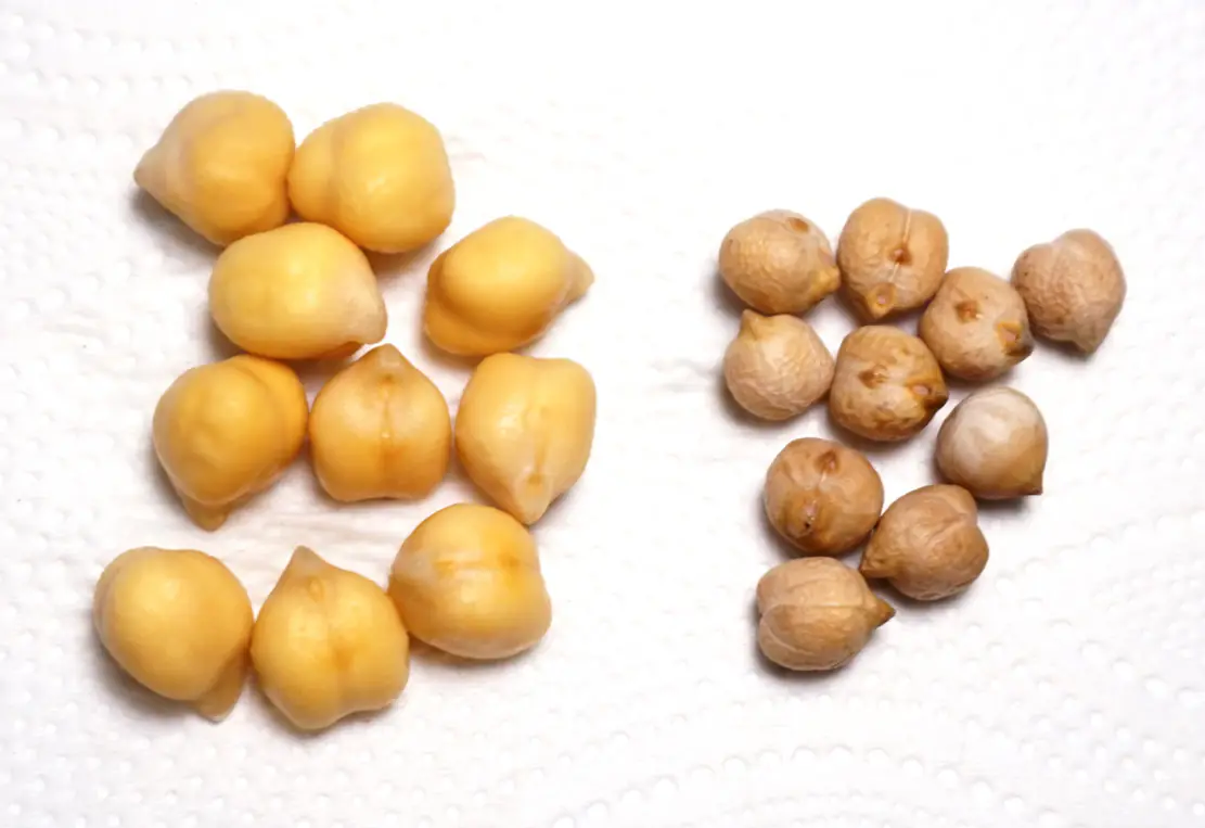 Soaked and dried chickpeas